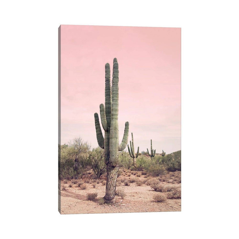 Photos - Other Decoration iCanvas 40"x26"x1.5" Desert Cactus Blush by Sisi & Seb Unframed Wall Canvas : Modern Style, Vertical Orientation