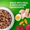 IAMS Proactive Health Chicken and Whole Grain Flavor Large Breed Adult Dry Dog Food - 3 of 4