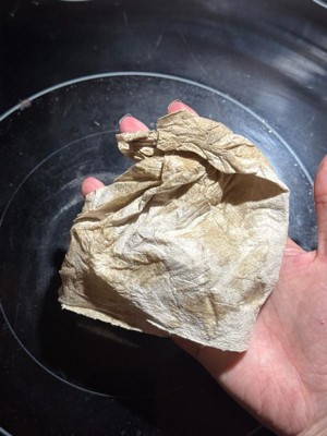 Guest review image 5 of 5, zoom in