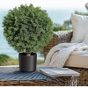 Artificial Set of 2 Cedar Topiary Ball Trees 23.62" with Pot, UV Resistant Faux Cypress Plants, Evergreen Shrubs Bushes for Front Porch Garden Decor - 2 of 4