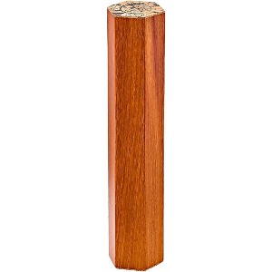 MEINL Sonic Energy 5-Minute Rainmaker - 1 of 2