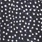 black dot