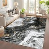Modern Abstract Washable Area Rug - Non-Slip Low Pile No-Shedding Fade-Resistant Soft Accent Rug for Living Room Bedroom Dining - 2 of 4