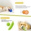 Itopfox Dog Toys 25 Pack for Fun and Teeth Cleaning, Puppy Chew Toys with Squeak Plush Toy, Squeaky Toy Balls, Tug of War and Rope Toys for Puppy - 3 of 4