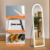 NicBex Arched/Rectangle Full Length Mirror,Floor Standing Mirror with 3 Color LED Lights,Wall Mirror with Stand for Bedroom,Living Room - 3 of 4