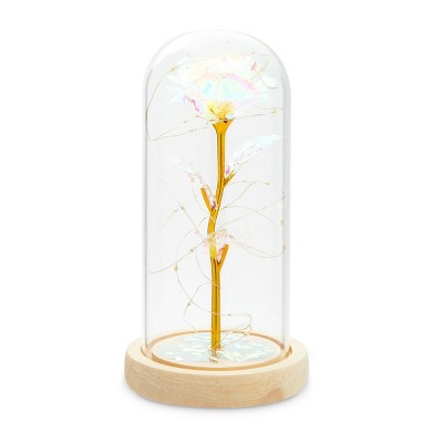 Zodaca Enchanted Galaxy White Rose in Glass Dome with LED Lights (4.5 x 8.5 in)