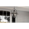 Rue De Royal 2-Light Earth Black Outdoor Hanging Lantern - 3 of 4