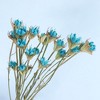 Alilang Decorative Dried Flower Stems for Home Decoration and Floral Arrangements, 15.5 Inches - 3 of 3