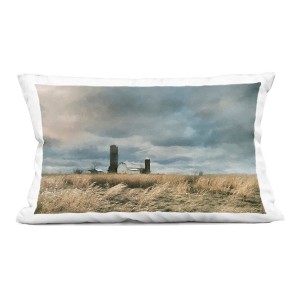 Stupell Industries Cloudy Farmland with Barn Indoor Decorative Throw Pillow, 14 x 20 - 1 of 3