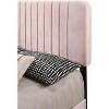 Passion Furniture Lodi Velvet UpholsteChannel Tufted Queen Panel Bed - 4 of 4