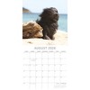 2026 Square Wall Calendar, Dogs in the Wind, 16-Month Humor Theme with 180 Reminder Stickers (12x12 In) - 3 of 4