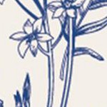 blue floral