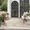 Nourison Essentials Persian Vintage Indoor Outdoor Area Rug - 4 of 4