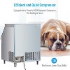 Commercial Ice Maker Machine ¨C 260 lbs/24H Stainless Steel Under-Counter Ice Maker with 150 lbs Storage Capacity - 4 of 4