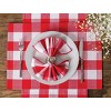 C&F Home 13'' x 19'' Franklin Buffalo Check Gingham Plaid Cotton Placemats, Set of 4 - 4 of 4