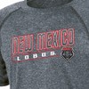 NCAA New Mexico Lobos Boys' Gray Poly T-Shirt - 3 of 3