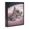 Stupell Industries Soft Kitten Tucked In Framed Giclee Art - 2 of 4