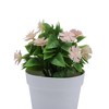 Unique Bargains Artificial Plants Golden Coin Chrysanthemum Plastic 3.94"x3.94"x7.87" 1 Pcs - 4 of 4
