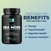 Premium Sea Moss Capsules, Nobi Nutrition, 90ct - 4 of 4