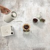 Cuisinart Digital Gooseneck Kettle - Hearth & Hand™ with Magnolia - 4 of 4