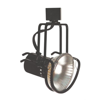 Cal Lighting LINE Voltage Fixture (PAR38, 150W)