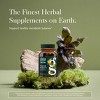 Gaia Herbs Thyroid Support - Made with Ashwagandha, Kelp, Brown Seaweed, and Schisandra - 3 of 4