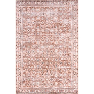 Nuloom Sesilia Vintage Transitional Spill Proof Treated Pet Friendly Premium Machine Washable Area Rug