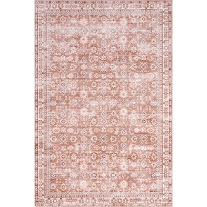 Nuloom Sesilia Vintage Transitional Spill Proof Treated Pet Friendly Premium Machine Washable Area Rug - 1 of 4
