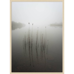 30"x41" Reeds in The Mist by David Ahern Wood Framed Wall Art Print Brown - Amanti Art: Giclee, Acrylic, Fir Wood Frame - 1 of 4