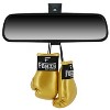 Forza Sports Mini Boxing Gloves - 2 of 2
