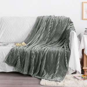 All Seasons Plush Flannel Blanket, Soft and Warm Bed Blanket for Couch Sofa Bed - NTBAY - 1 of 4