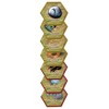 Renegade Games Heroscape – Glyph Pack Expansion, 33 New Glyphs - 4 of 4