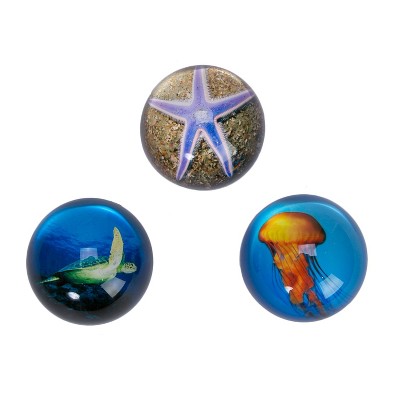 Beachcombers 3/A Sea Life Paperweights