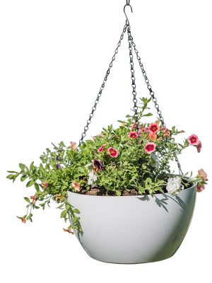 Gardener's Supply Company Viva Self-Watering Hanging Basket With Easy-Fill Water Port | 14 Inch Diameter Includes Hanging Chain & Hook - White