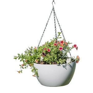 Gardener's Supply Company Viva Self-Watering Hanging Basket With Easy-Fill Water Port | 14 Inch Diameter Includes Hanging Chain & Hook - White - 1 of 4