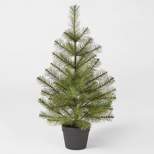 2.5ft Unlit Douglas Fir Potted Mini Artificial Christmas Tree - Wondershop™