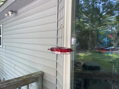 Guest review image 1 of 1, zoom in