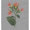 Grow Positive Cigar Plant Adult Crew Neck Long Sleeve Tee - 2 of 2