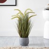 Artificial Plant - Faux 21" Potted Grass Plant - FXP2000 - Green - Safavieh - 2 of 4