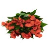 Allstate Floral New Guinea Impatiens Artificial Floral Bush - 13.7" - Tomato Red - 4 of 4