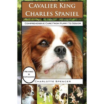 Cavalier King Charles Spaniel - by  Charlotte Spencer (Paperback)