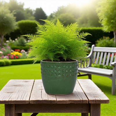 SpassWay 15" Dia Outdoor Indoor Ceramic Planter Pot Decorative Planter with Drainage Hole Patio Flower Pot