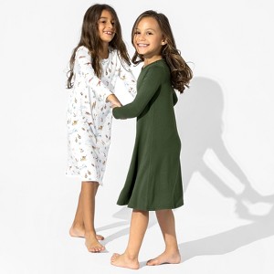 Bellabu Bear Baby Evergreen Bamboo Girls' Long Sleeve Dress - 1 of 4