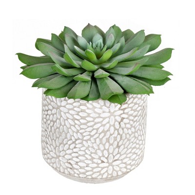 Vickerman 6" Artificial Green Potted Succulent, Pack of 2