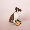 PetShop by Fringe Studio Taco Bout Some Fun Durable Plush Dog Toy - image 2 of 4