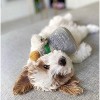 Haute Diggity Dog Puptron Plush Dog Toy With Squeaker - 2 of 3