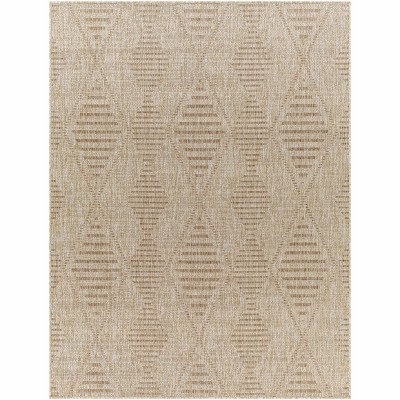 Hauteloom Northpoint Indoor & Outdoor Rug