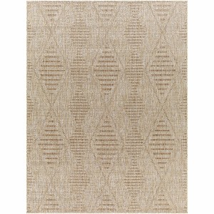 Hauteloom Northpoint Indoor & Outdoor Rug - 1 of 4