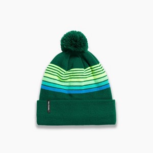Turtle Fur Youth Omega Beanie - Winter Cuffed Pom Hat - 1 of 3