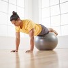 Stott Pilates Stability Ball Plus with Pump - Silver (65cm) - 4 of 4